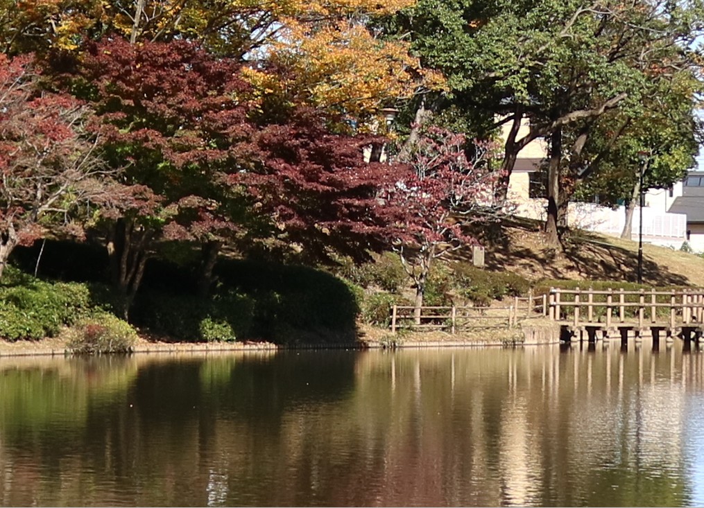 f:id:computer_philosopher:20201111220605j:plain