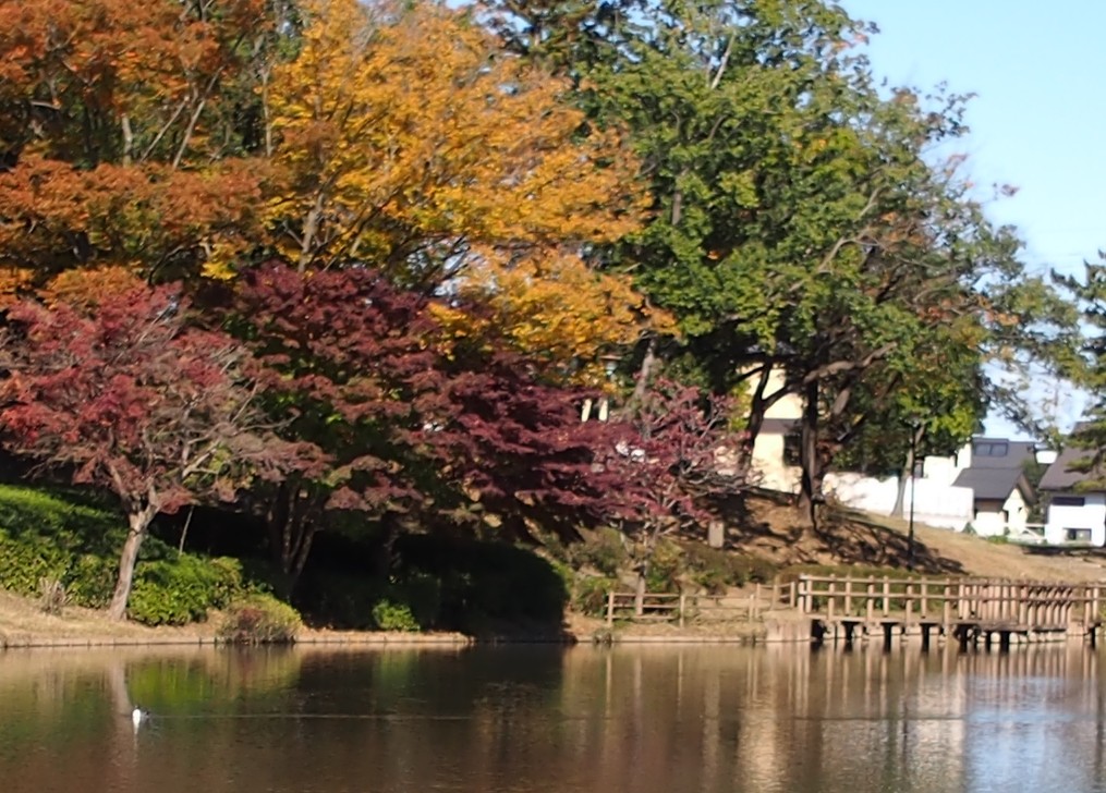 f:id:computer_philosopher:20201111220631j:plain