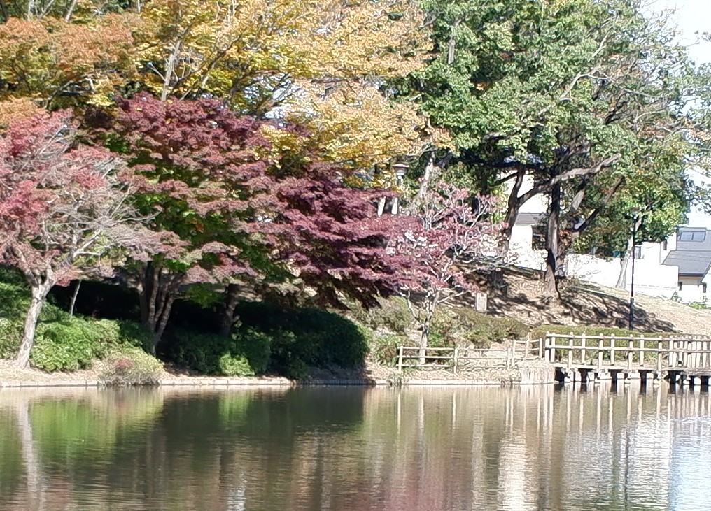 f:id:computer_philosopher:20201111220805j:plain