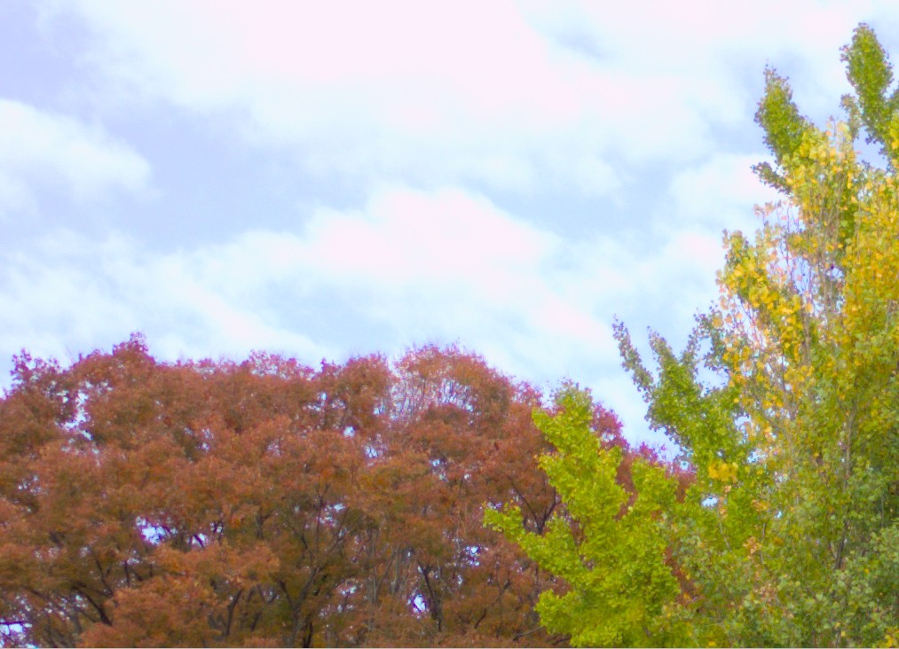 f:id:computer_philosopher:20201112211126j:plain