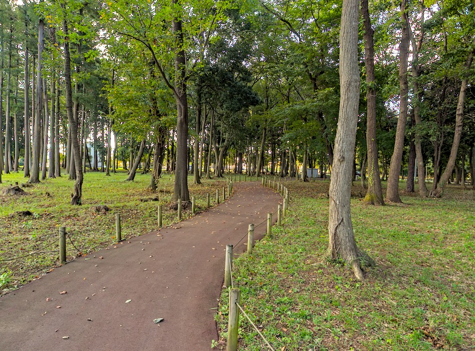 f:id:computer_philosopher:20201112212225j:plain