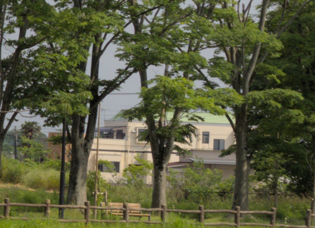 f:id:computer_philosopher:20201117205010j:plain