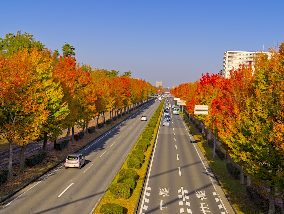 f:id:computer_philosopher:20201117214825j:plain