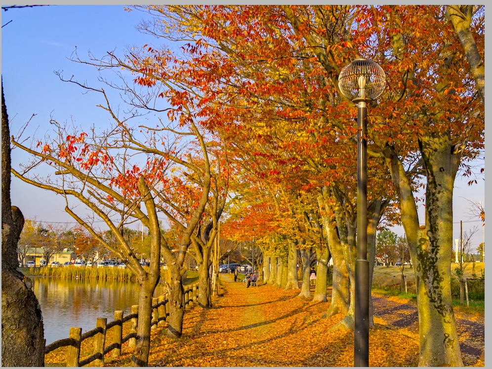 f:id:computer_philosopher:20201121221204j:plain