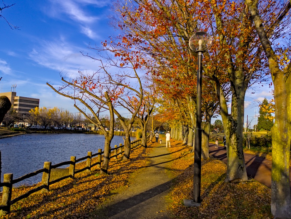 f:id:computer_philosopher:20201121221253j:plain