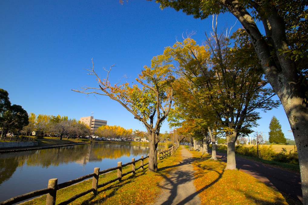 f:id:computer_philosopher:20201126194029j:plain