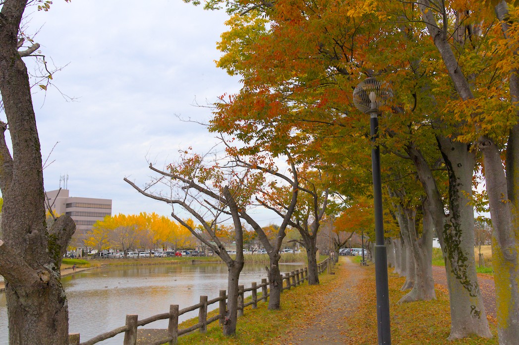 f:id:computer_philosopher:20201126194101j:plain