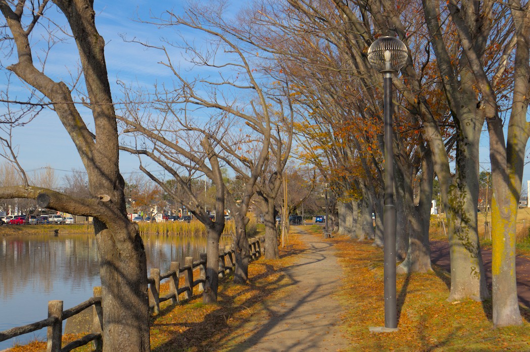 f:id:computer_philosopher:20201127165118j:plain