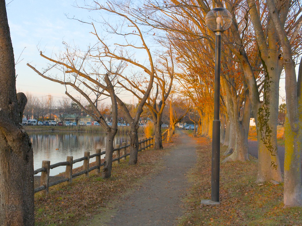 f:id:computer_philosopher:20201127165141j:plain