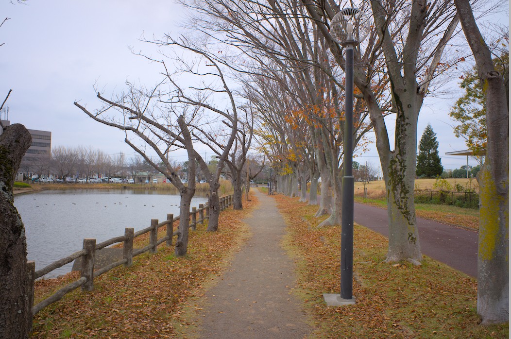 f:id:computer_philosopher:20201127165204j:plain