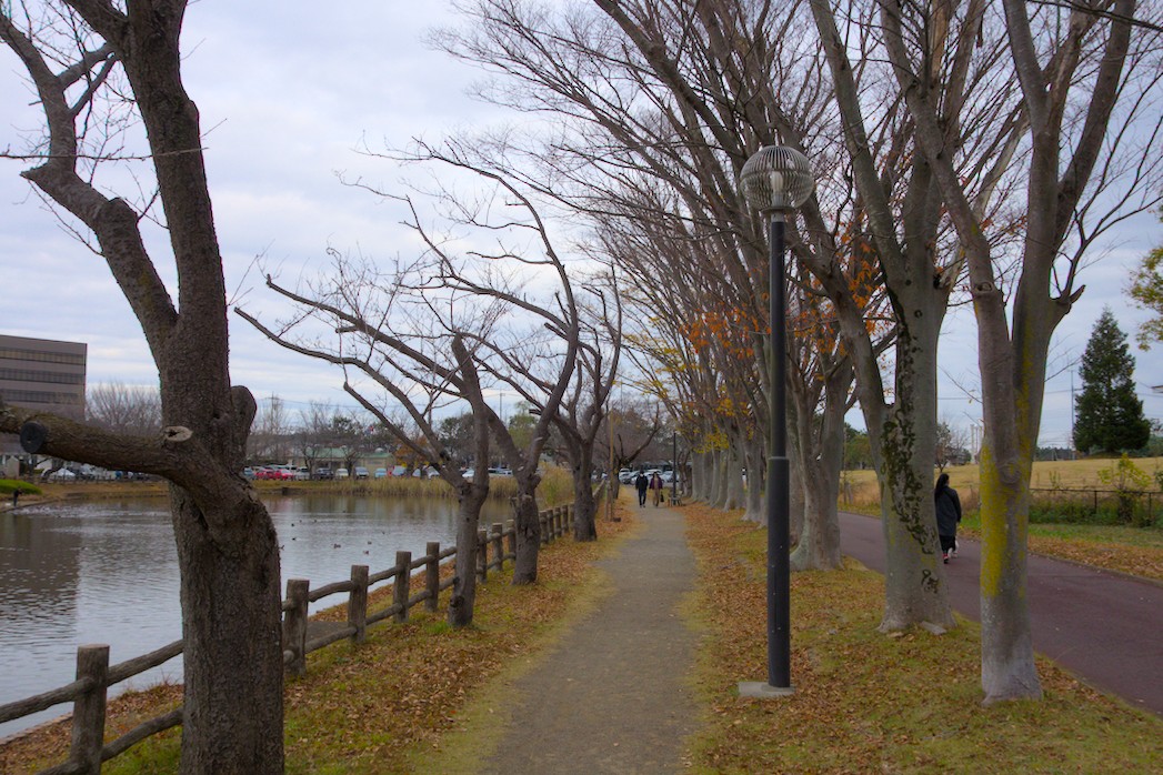 f:id:computer_philosopher:20201129212812j:plain