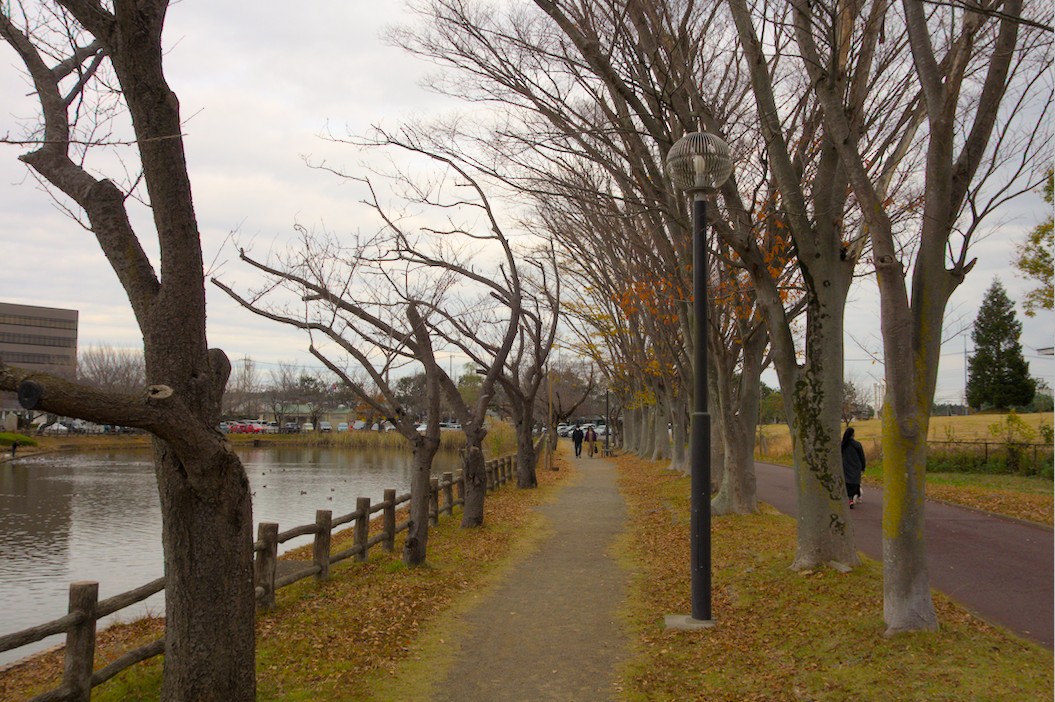 f:id:computer_philosopher:20201129212840j:plain
