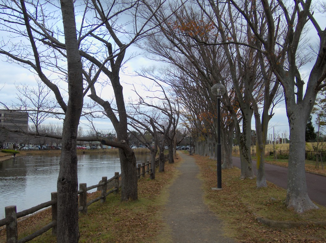 f:id:computer_philosopher:20201129212909j:plain