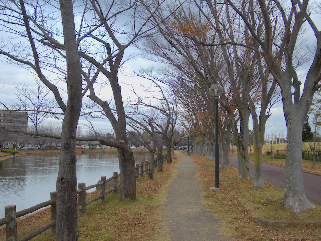 f:id:computer_philosopher:20201129212930j:plain