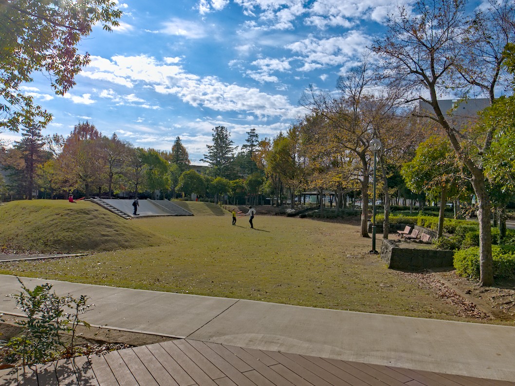 f:id:computer_philosopher:20201130213109j:plain