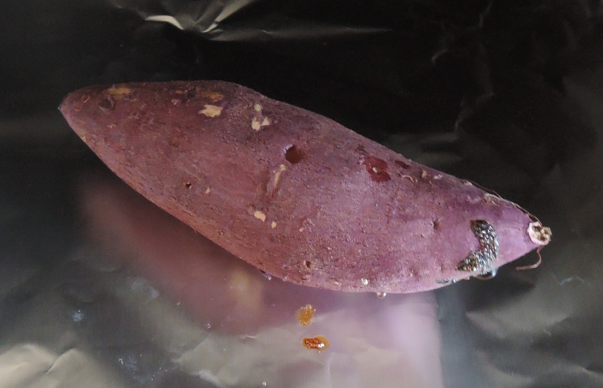 f:id:computer_philosopher:20201201213845j:plain