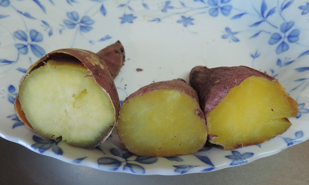 f:id:computer_philosopher:20201207214904j:plain