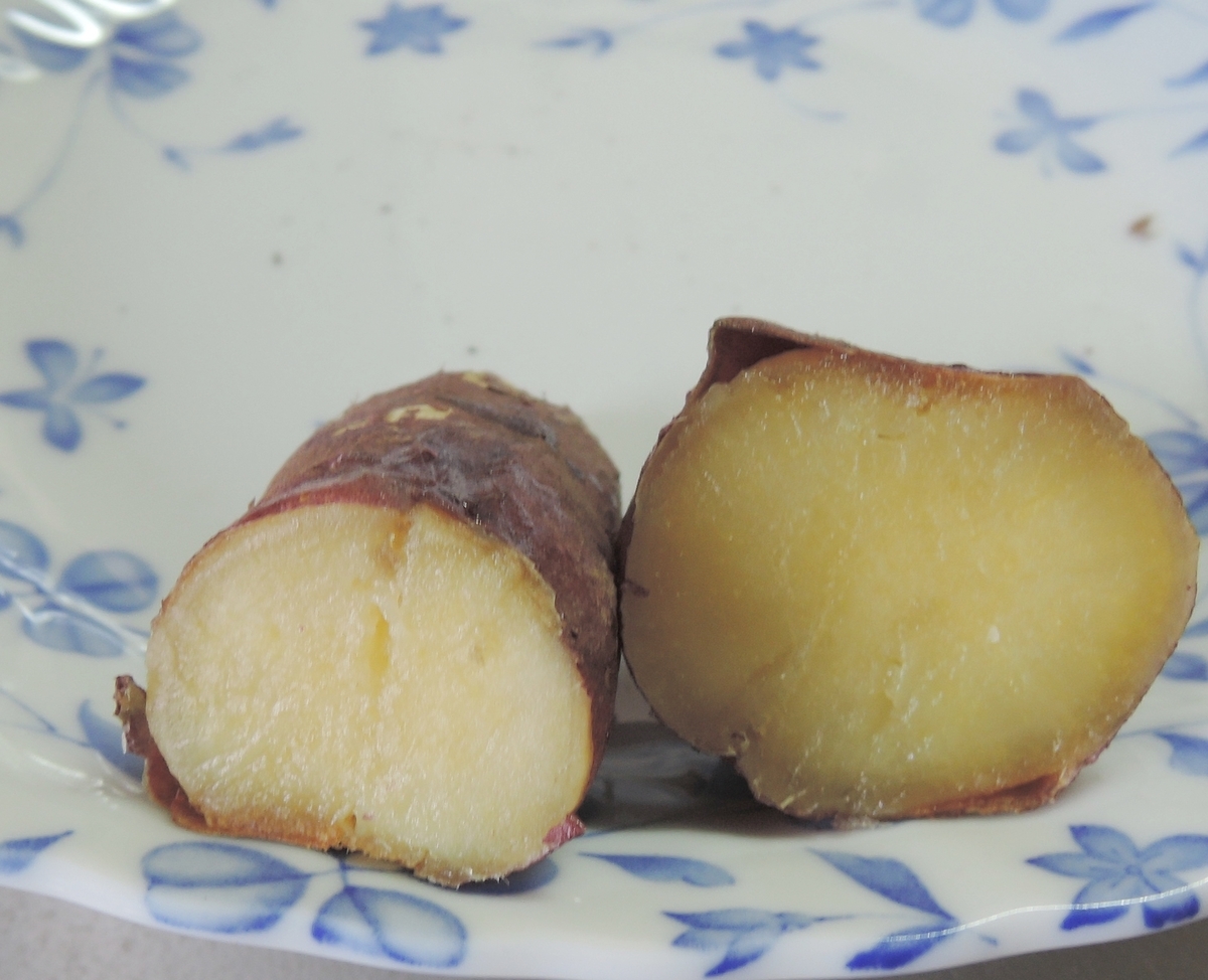 f:id:computer_philosopher:20201209192557j:plain