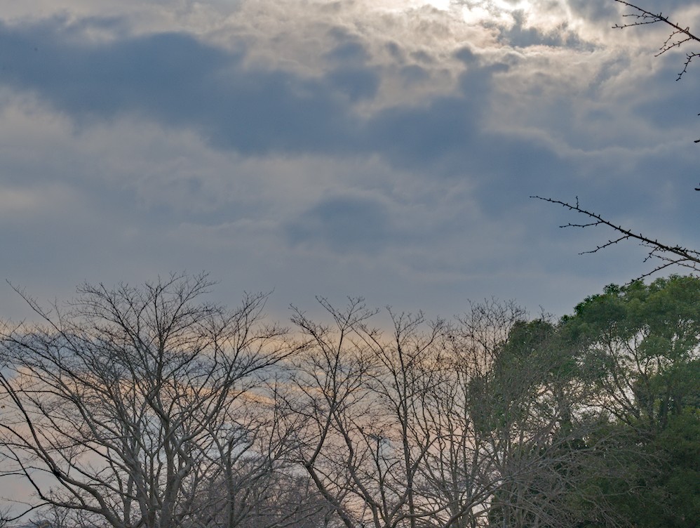 f:id:computer_philosopher:20201211185812j:plain