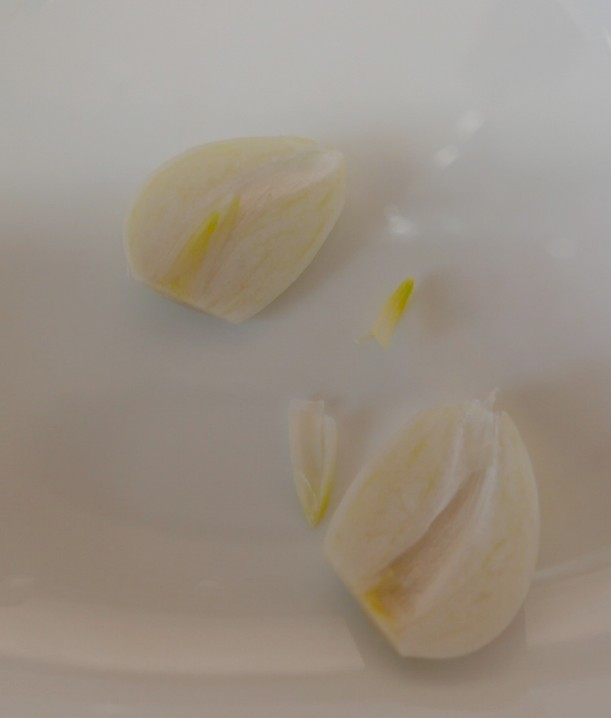 f:id:computer_philosopher:20201213193516j:plain