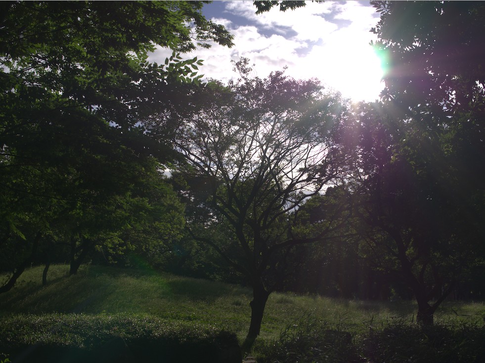 f:id:computer_philosopher:20201213193929j:plain