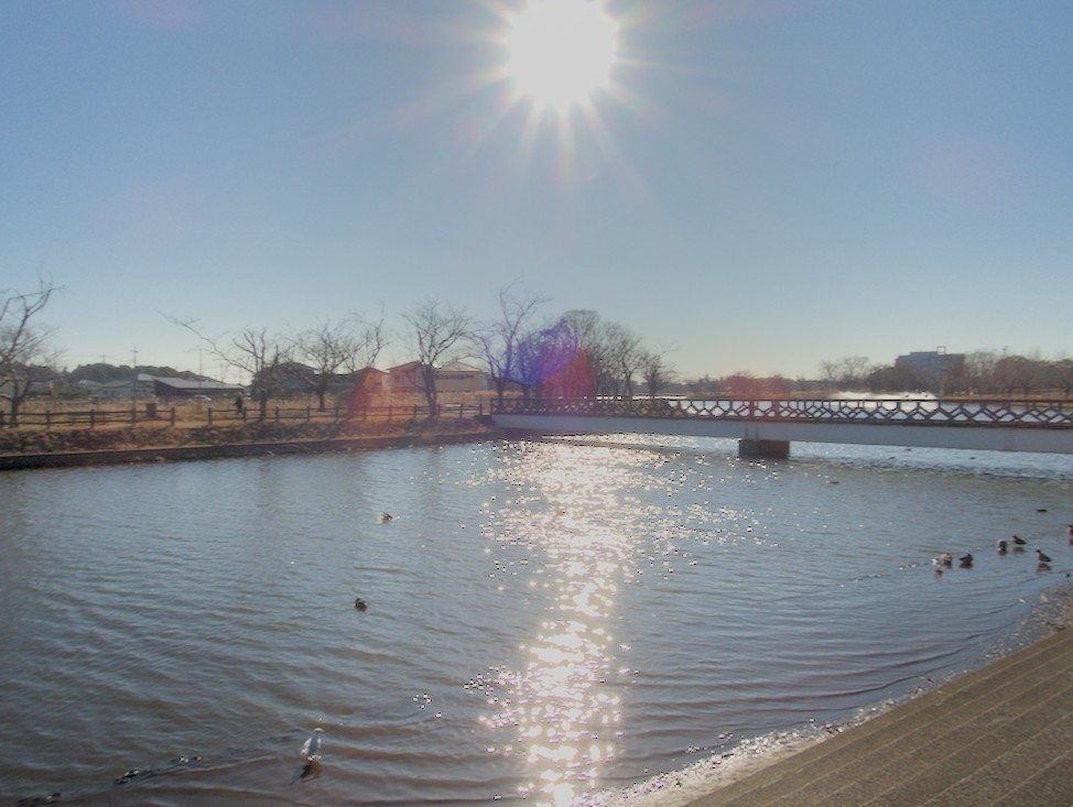 f:id:computer_philosopher:20201213194112j:plain