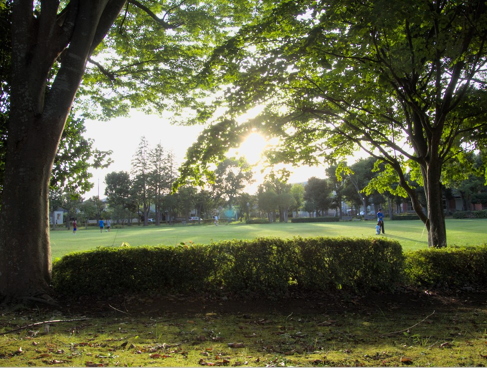 f:id:computer_philosopher:20201213194147j:plain