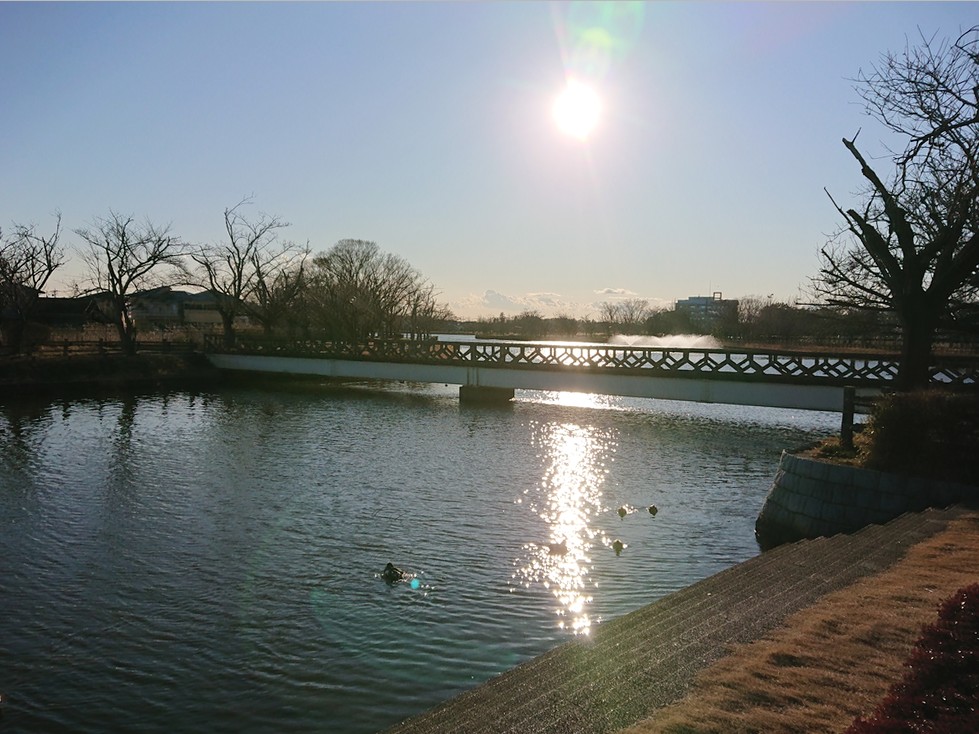 f:id:computer_philosopher:20201213194231j:plain