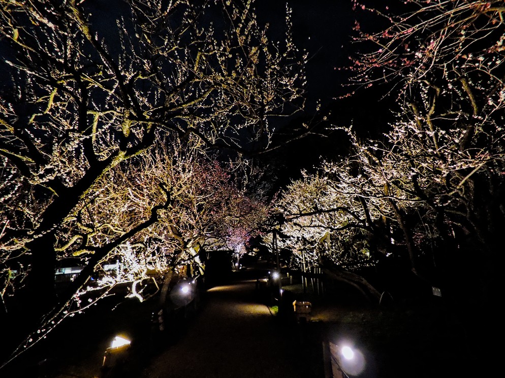 f:id:computer_philosopher:20201214204019j:plain