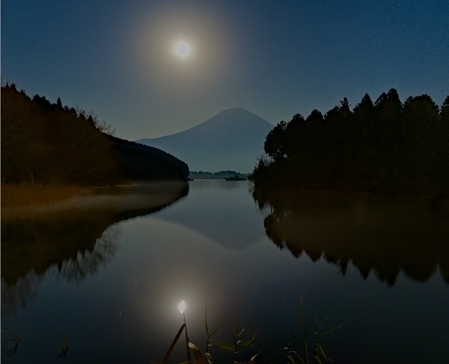f:id:computer_philosopher:20201215134548j:plain