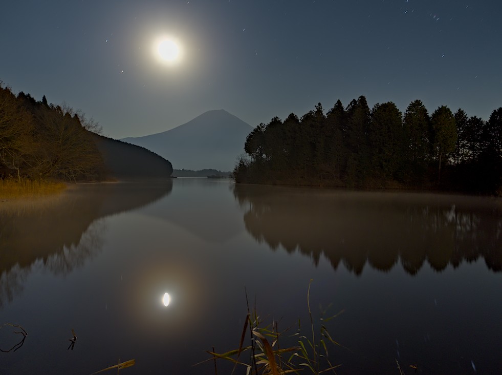 f:id:computer_philosopher:20201215134615j:plain