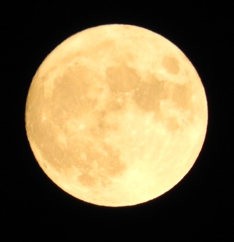 f:id:computer_philosopher:20201218191105j:plain