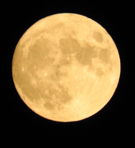 f:id:computer_philosopher:20201218191149j:plain