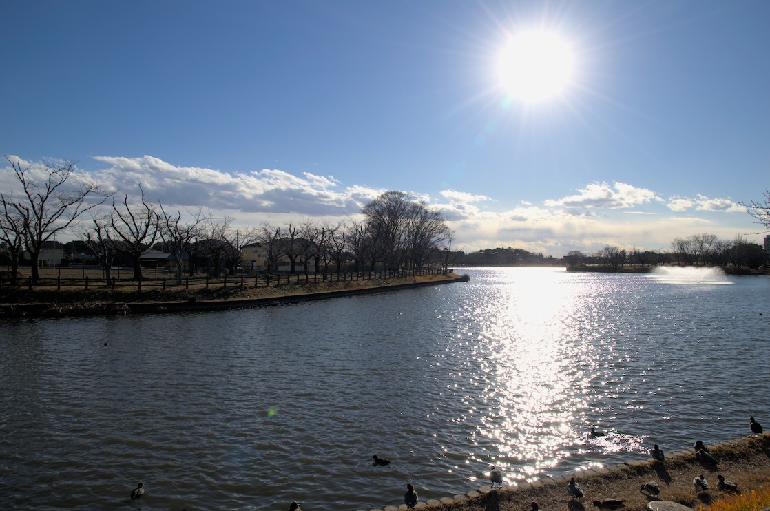 f:id:computer_philosopher:20201220192748j:plain