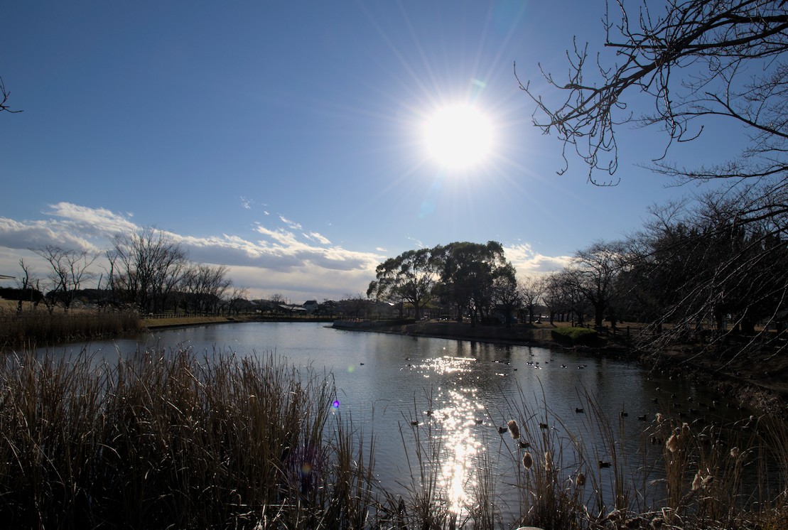 f:id:computer_philosopher:20201220192820j:plain