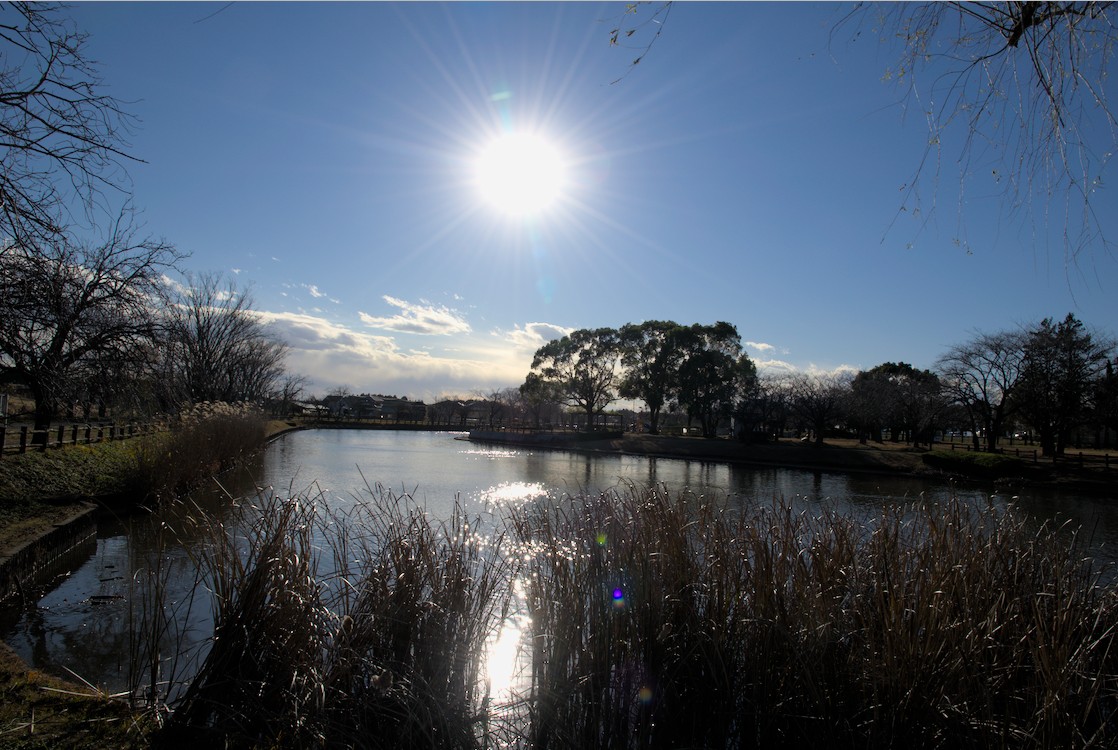 f:id:computer_philosopher:20201220192840j:plain