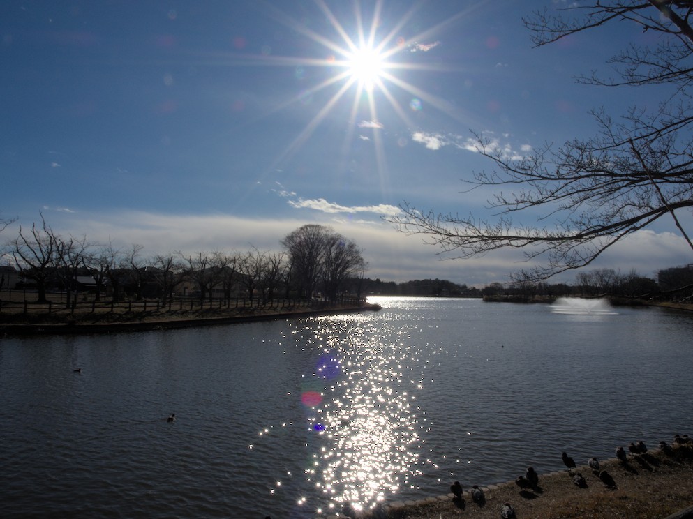 f:id:computer_philosopher:20201220192908j:plain