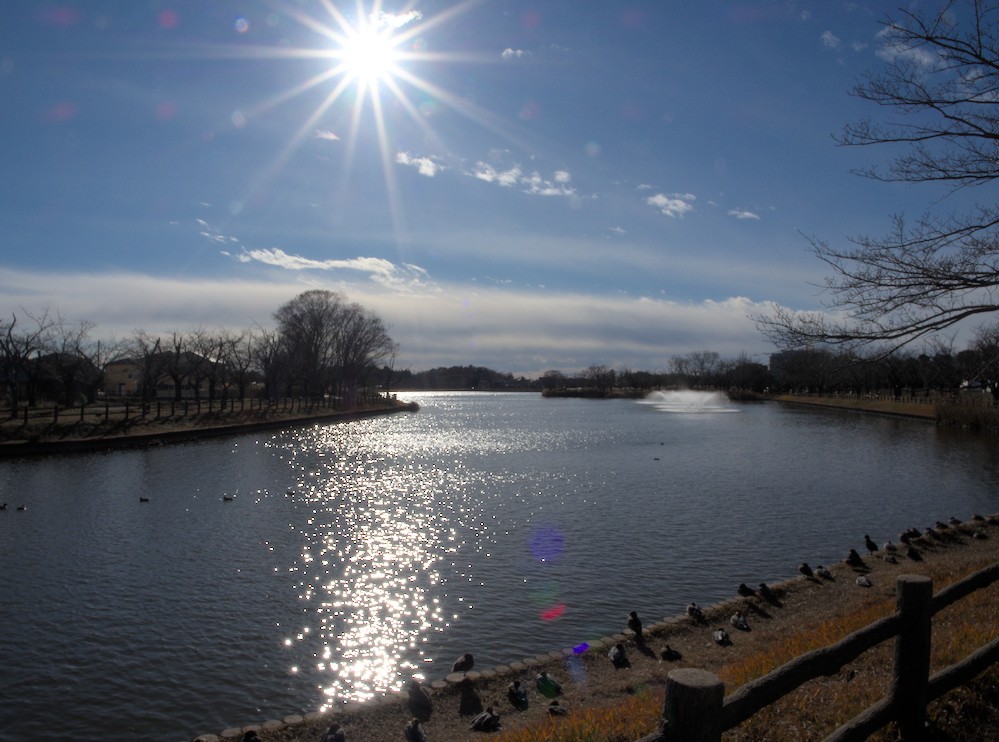 f:id:computer_philosopher:20201220192941j:plain