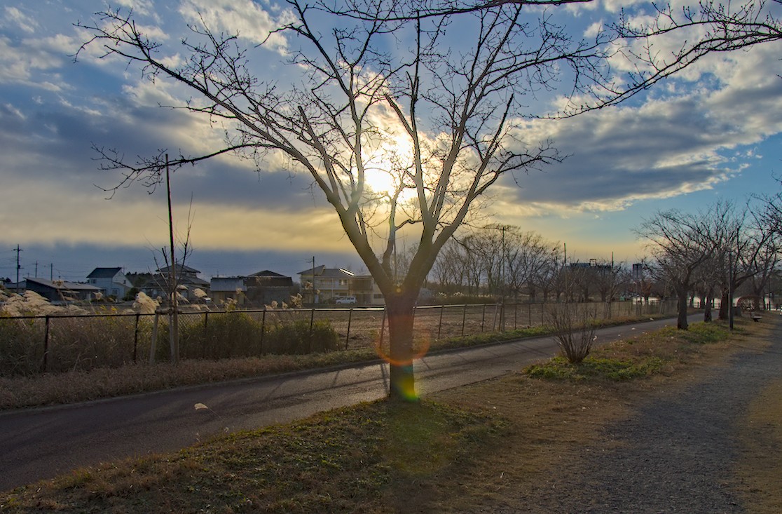 f:id:computer_philosopher:20201221205946j:plain