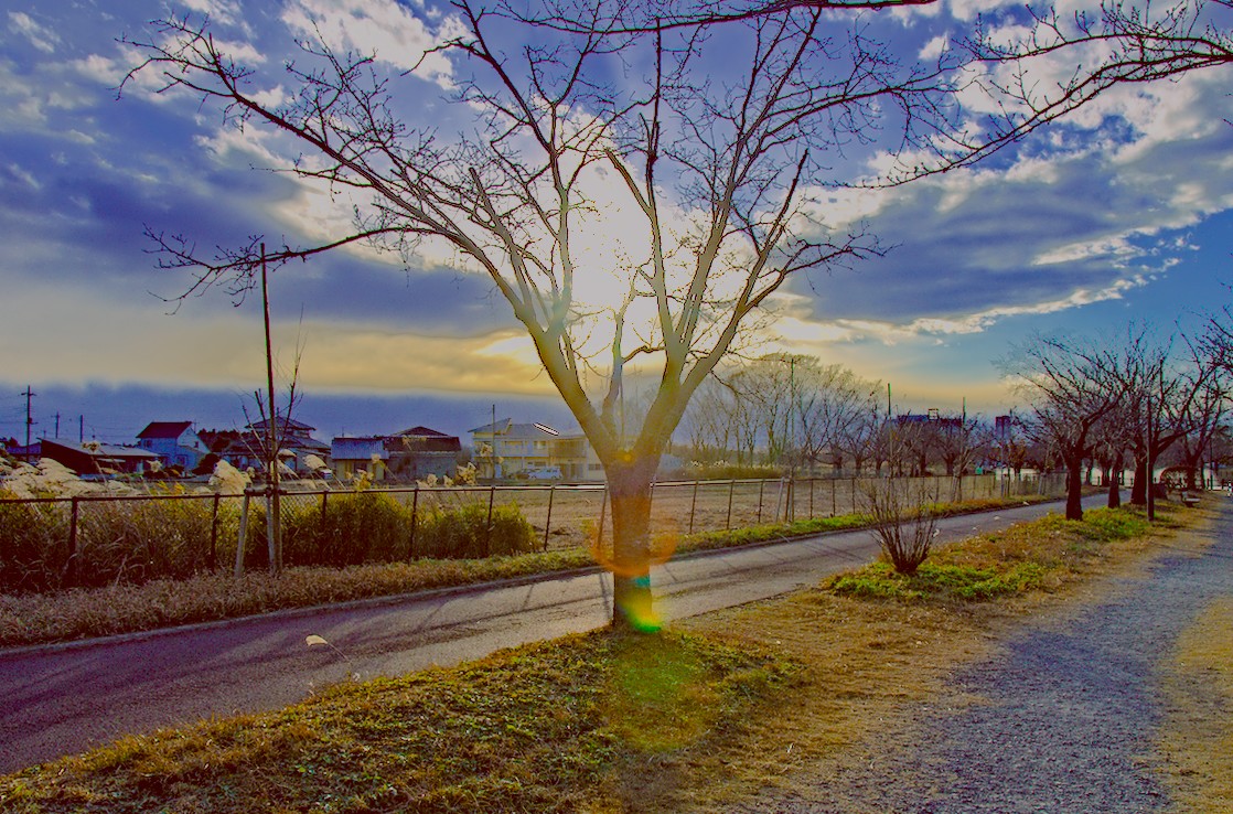 f:id:computer_philosopher:20201221210009j:plain