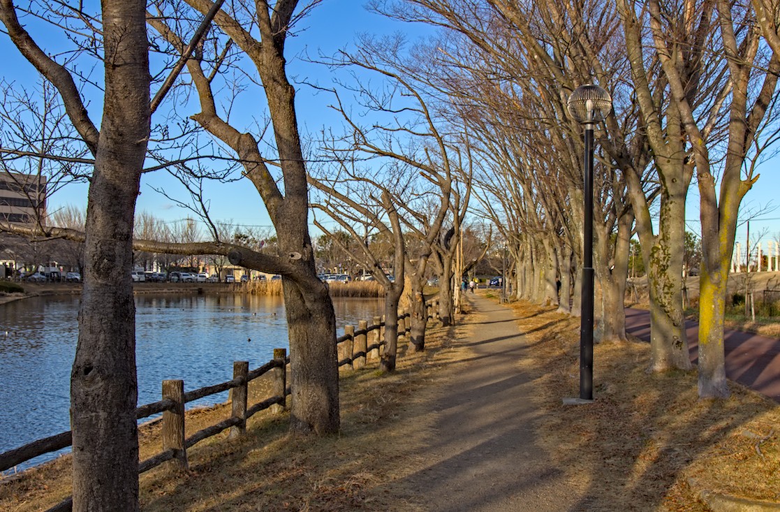 f:id:computer_philosopher:20201221210031j:plain