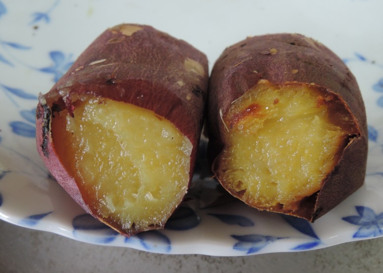 f:id:computer_philosopher:20201224211456j:plain