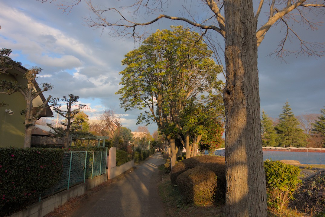 f:id:computer_philosopher:20201230154355j:plain