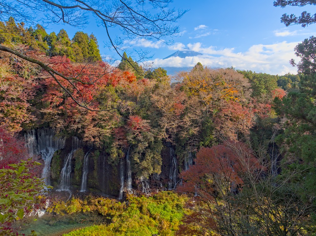 f:id:computer_philosopher:20210102204227j:plain