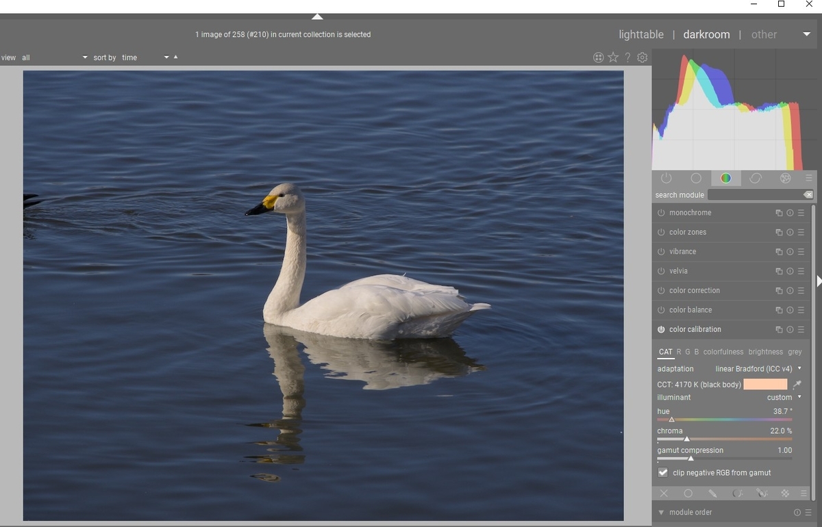 f:id:computer_philosopher:20210113192150j:plain