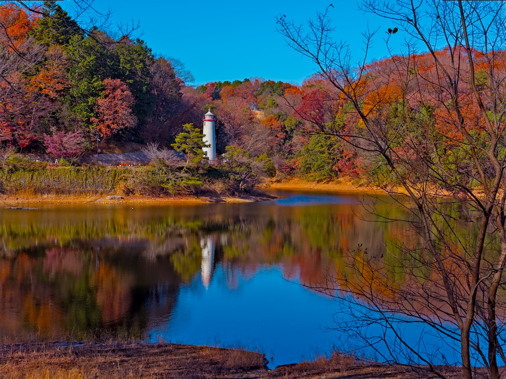 f:id:computer_philosopher:20210115211733j:plain