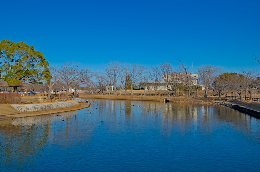 f:id:computer_philosopher:20210125194331j:plain