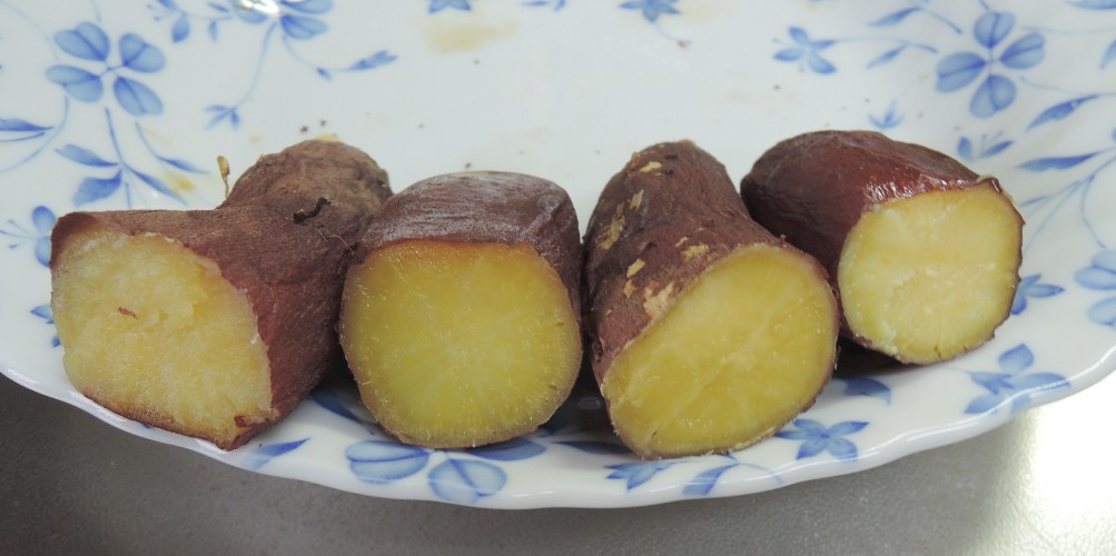 f:id:computer_philosopher:20210201192245j:plain