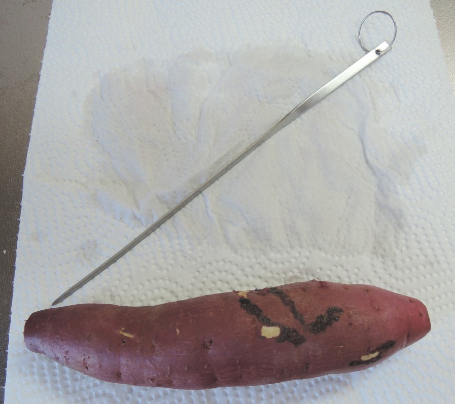 f:id:computer_philosopher:20210220230804j:plain