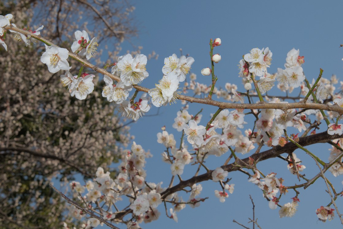 f:id:computer_philosopher:20210222223456j:plain